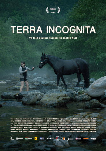 Terra incognita movie poster