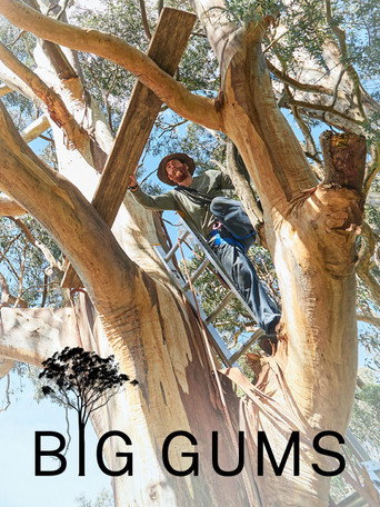 Big Gums movie poster