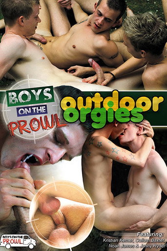 Boys on the Prowl 4: Outdoor Orgies movie poster