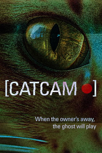 Cat Cam movie poster