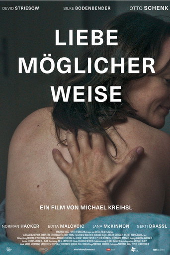 Liebe möglicherweise movie poster