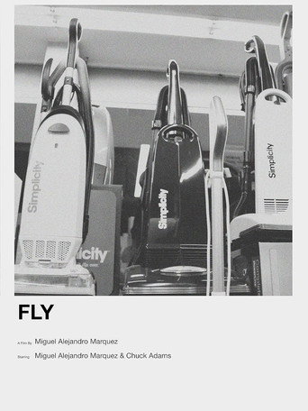 Fly movie poster