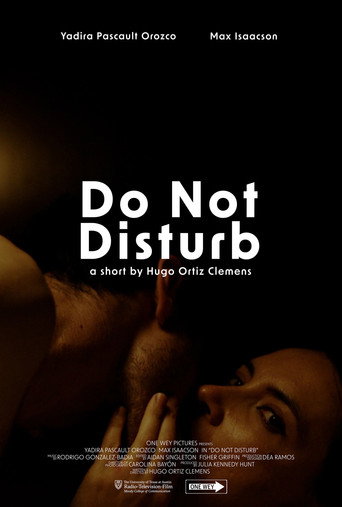 Do Not Disturb movie poster