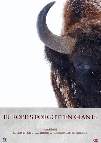 Europe's Forgotten Giants movie poster