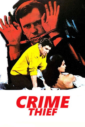 Crime Thief movie poster