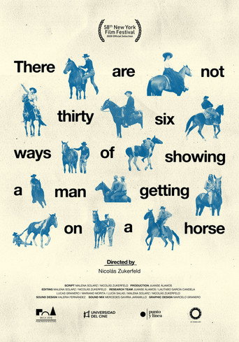 There Are Not Thirty-Six Ways of Showing a Man Getting on a Horse movie poster