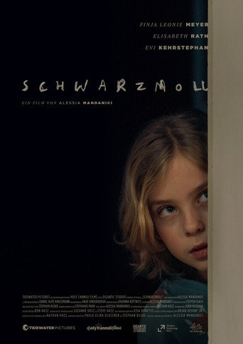 Schwarzmoll movie poster