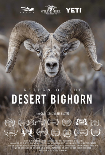 Return of the Desert Bighorn movie poster
