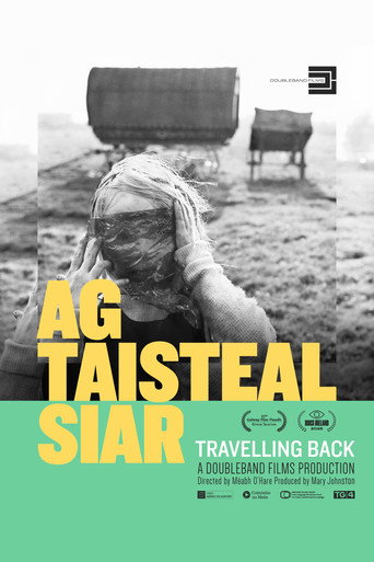 Travelling Back movie poster