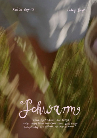 Schwarm movie poster