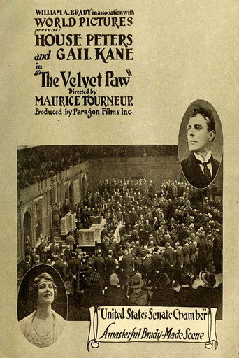 The Velvet Paw movie poster