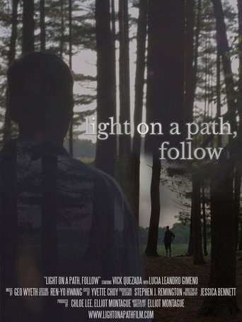 Light on a Path, Follow movie poster