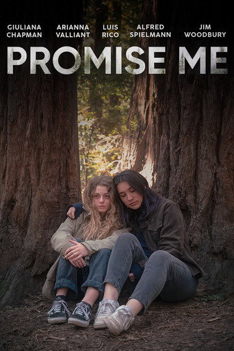 Promise Me movie poster