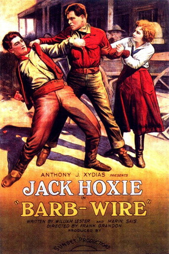 Barb Wire movie poster
