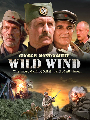 Wild Wind movie poster