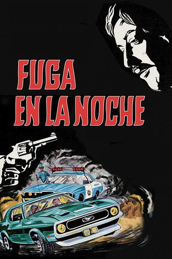 Fuga en la noche movie poster