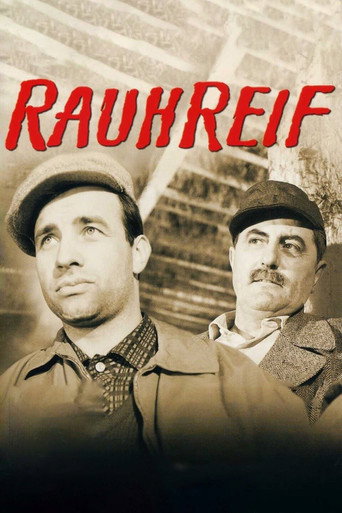 Rauhreif movie poster