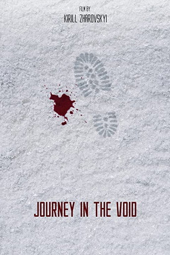 Journey in the Void movie poster