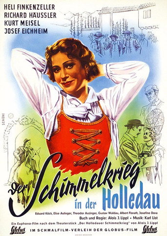 Der Schimmelkrieg in der Holledau movie poster