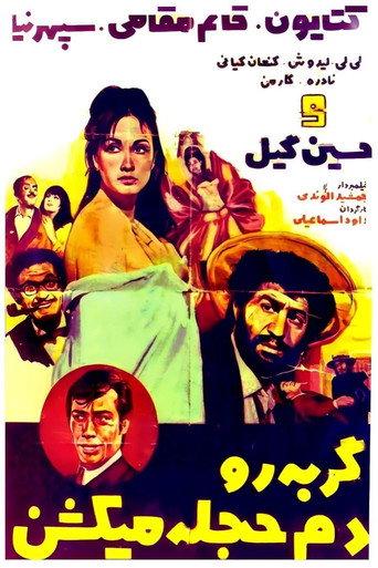 Gorbeh ro dameh hejleh mikoshan movie poster