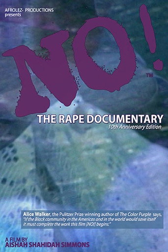 No! The Rape Documentary movie poster