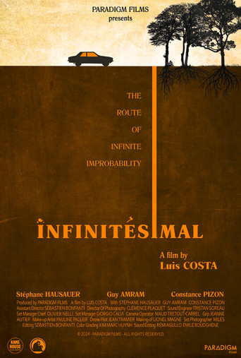 Infinitesimal movie poster