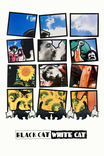 Black Cat, White Cat movie poster