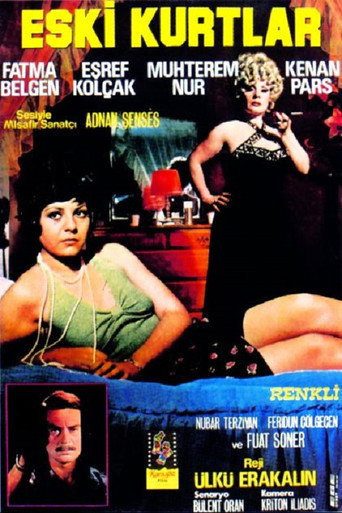Eski Kurtlar movie poster