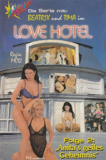 Love Hotel 2: Anitas geiles Geheimnis movie poster
