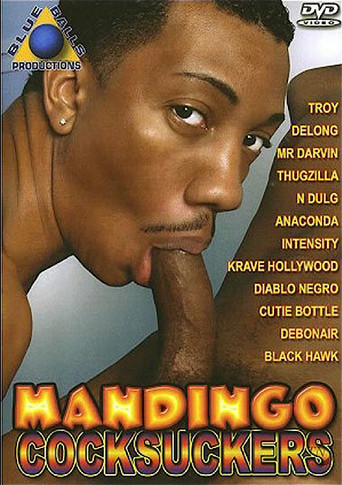 Mandingo Cocksuckers movie poster