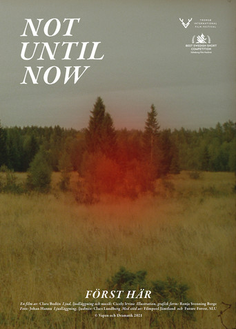 Not Until Now movie poster