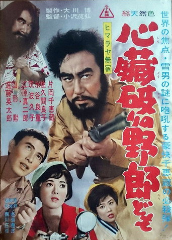 Himalayan Wanderer movie poster