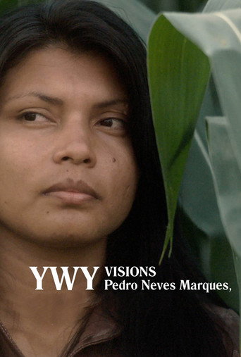 YWY, Visions movie poster