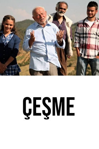 ÇEŞME movie poster