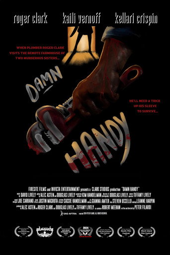 Damn Handy movie poster