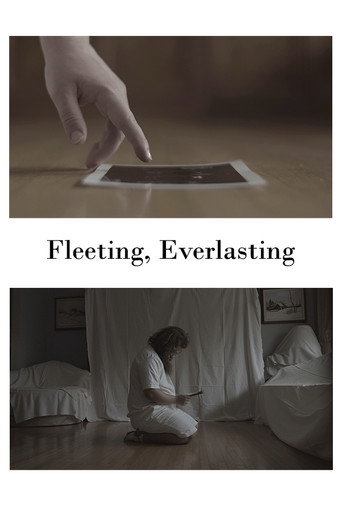 Fleeting, Everlasting movie poster