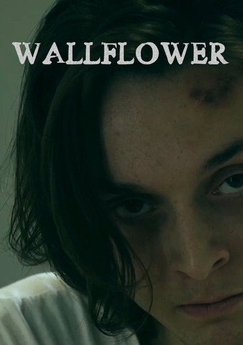 Wallflower movie poster