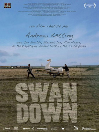 Swandown movie poster