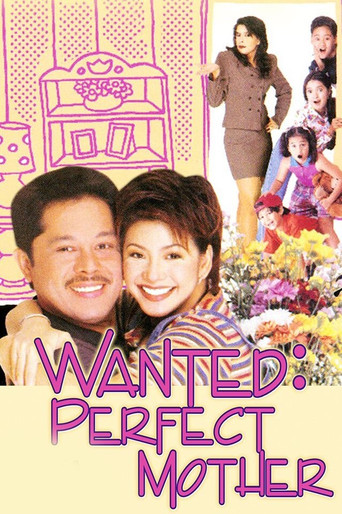 Wanted: Perfect Mother movie poster