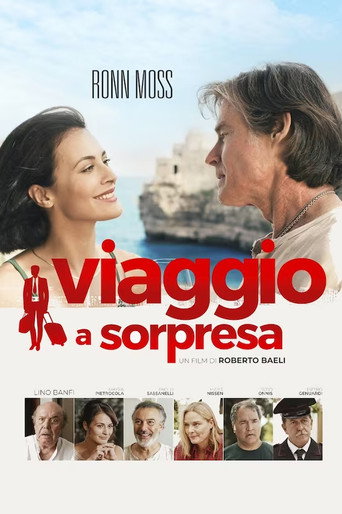 Viaggio a sorpresa movie poster