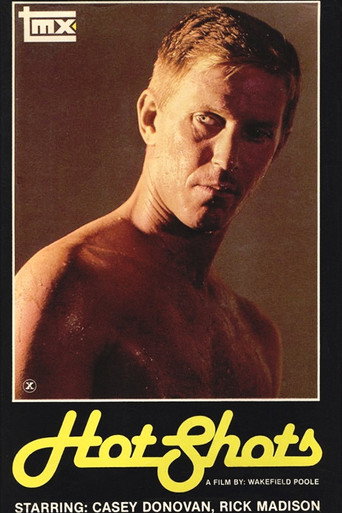 Hot Shots movie poster