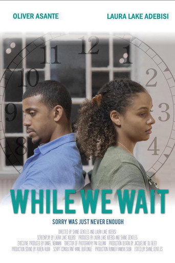 While We Wait movie poster