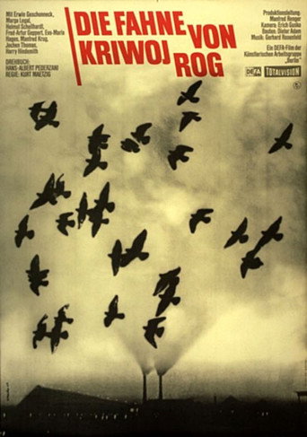 The Banner of Kryvyi Rih movie poster
