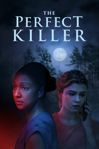 The Perfect Killer movie poster