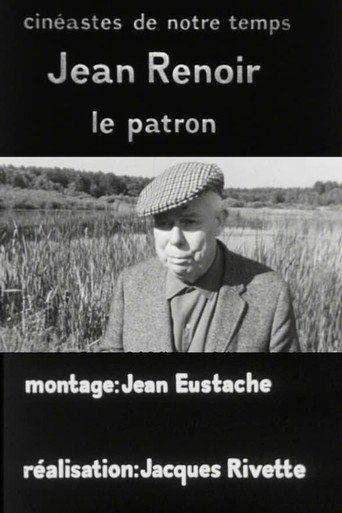 Jean Renoir, le patron, 1re partie: La recherche du relatif movie poster