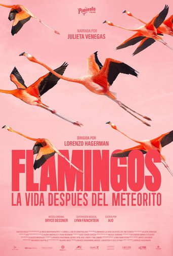 Flamingos: Life After the Meteorite movie poster