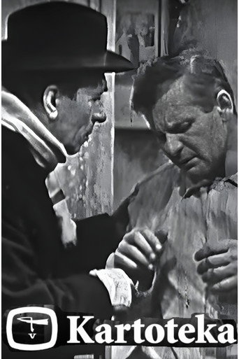Kartoteka movie poster