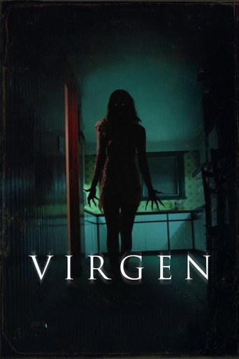 Virgin movie poster