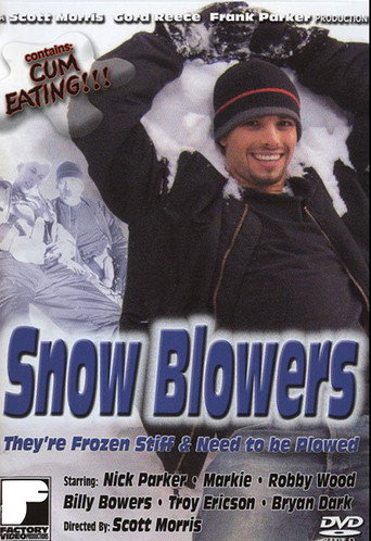 Snow Blowers movie poster