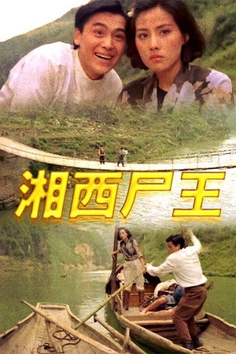 Kung Fu Vampire movie poster